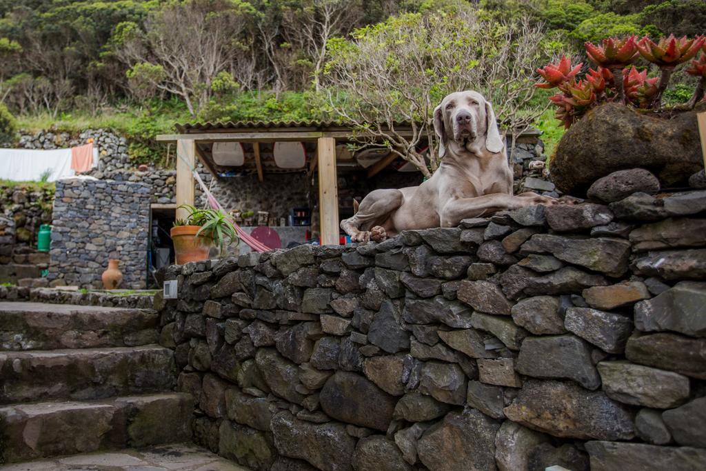 Caldeira Guesthouse Faja da Caldeira de Santo Cristo Kültér fotó